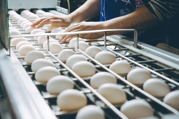 Egg products